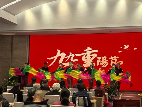 九华山祇民社区文艺汇演庆佳节 敬老温情暖人心，文化艺术交流活动策划
